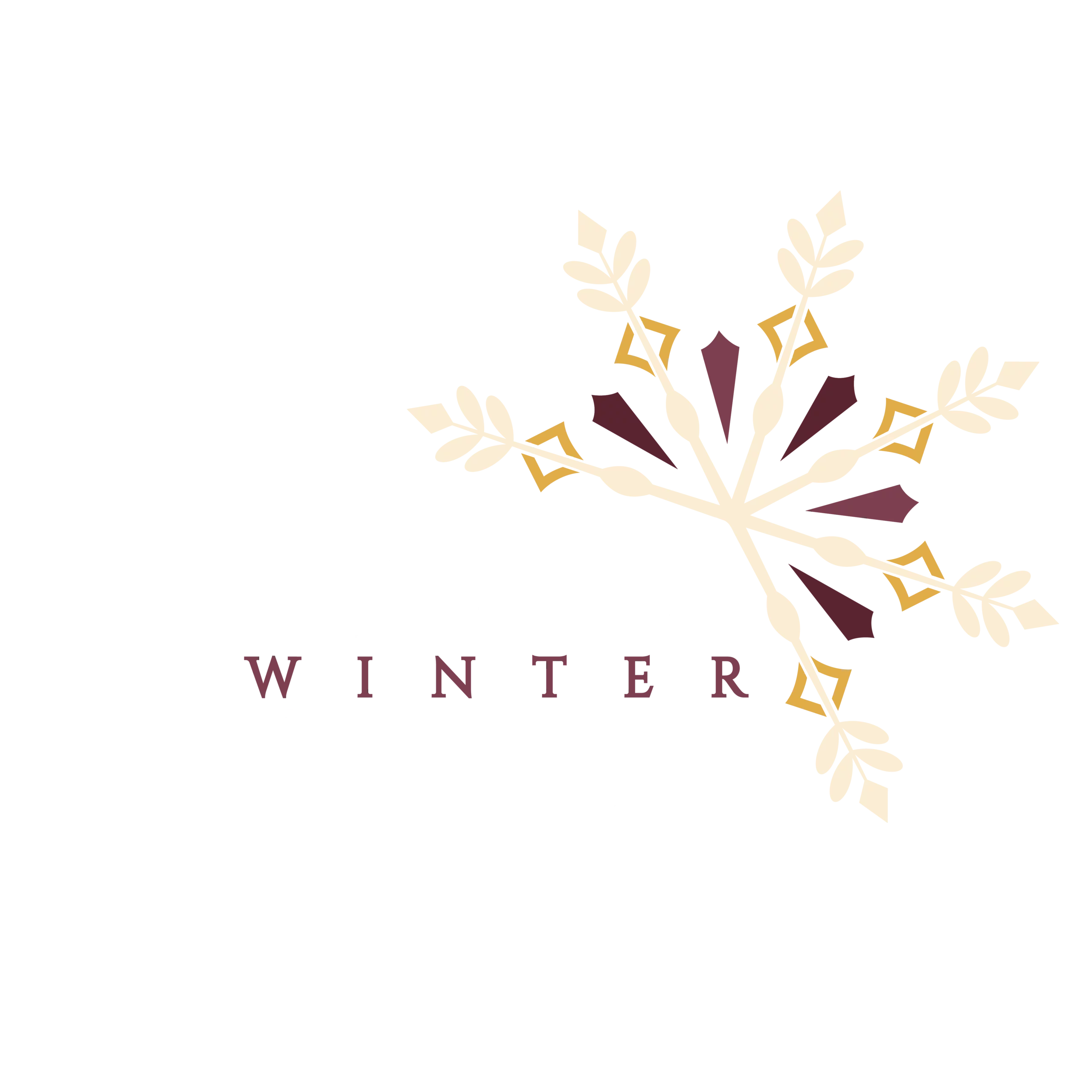 Costa Winter Logo copy